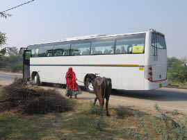 On the road to Ranthambore