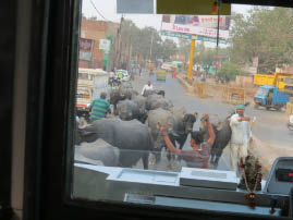 Agra Traffic