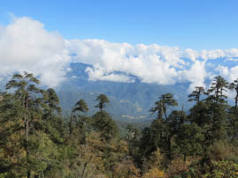 The Road to Punakha