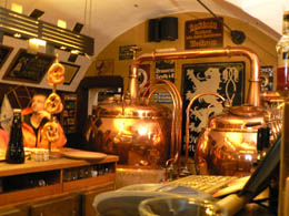 Micro Brewery at Hopfen & Co.