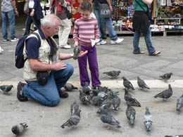 Gentle man feeding pigeons