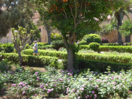 Andalusian Gardens