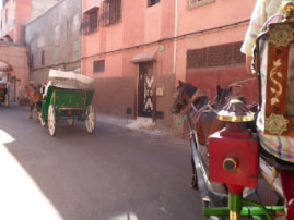 Carriage ride through Marrakechh