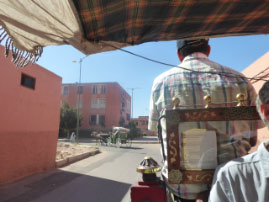 Carriage ride through Marrakech