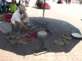 Marrakesh Market