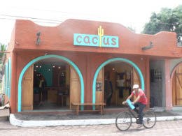 Cactus, a nice shop on Santa Cruz