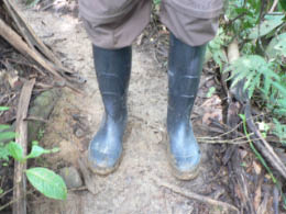 Jungle boots