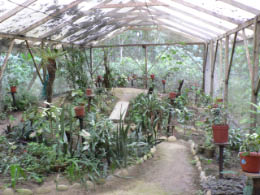 Yachana Butterfly House
