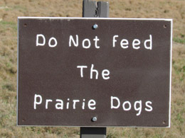 Prairie Dog Warning
