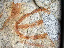 Petroglyph Rock