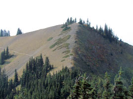 Klahhane Ridge